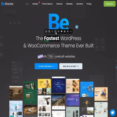 BeTheme Responsive Multipurpose WordPress