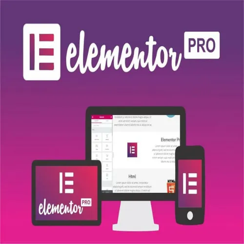 Elementor PRO Subscription